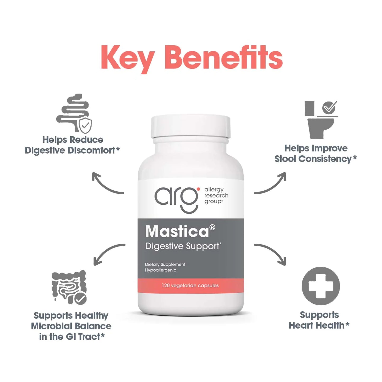 Mastica - Digestive Support