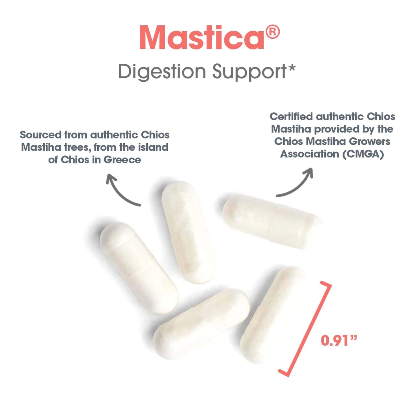 Mastica - Digestive Support